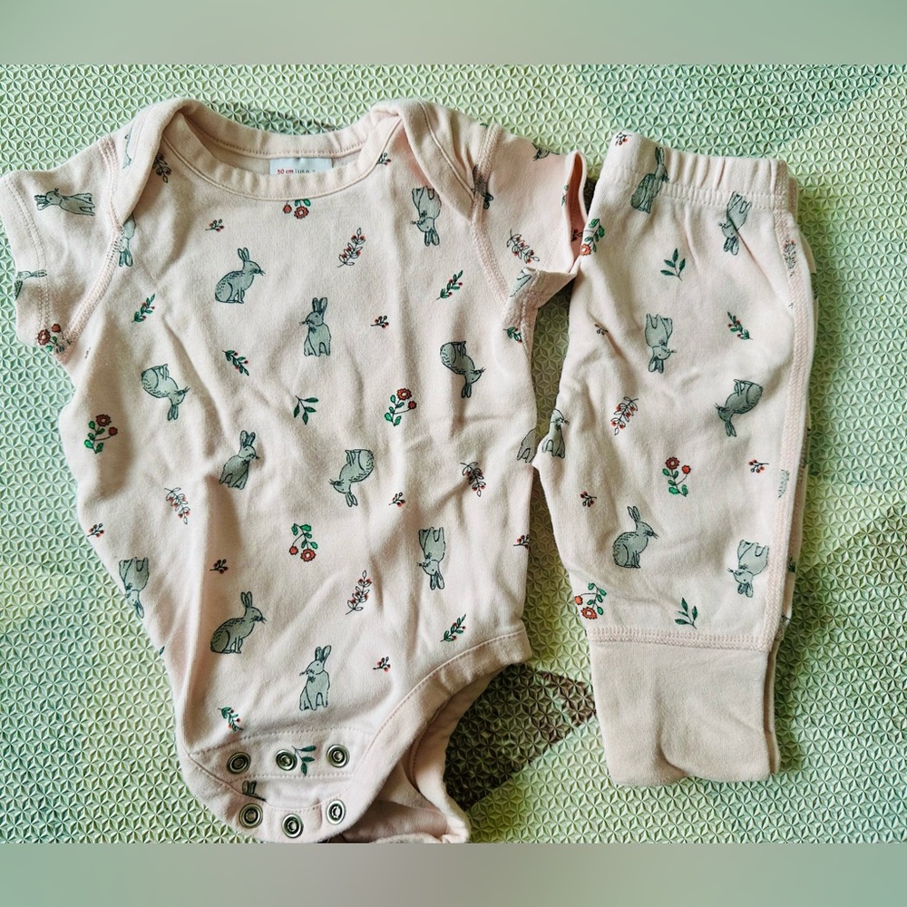 Hanna Andersson body suit and pants set - Pink Bunnies